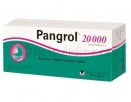 Pangrol 20000 por.tbl.ent.50 II
